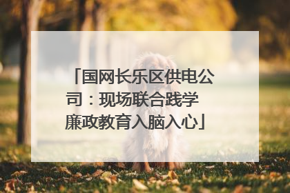 国网长乐区供电公司：现场联合践学 廉政教育入脑入心
