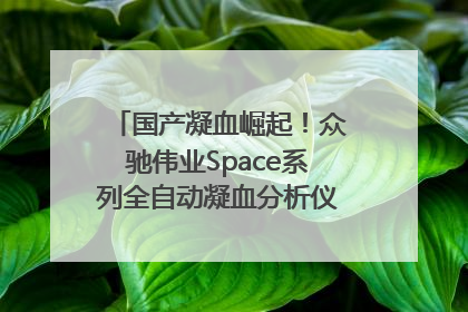 国产凝血崛起！众驰伟业Space系列全自动凝血分析仪获国际领先认证！
