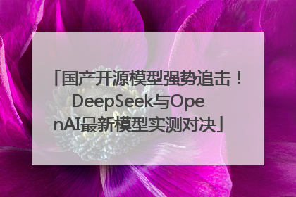 国产开源模型强势追击！DeepSeek与OpenAI最新模型实测对决