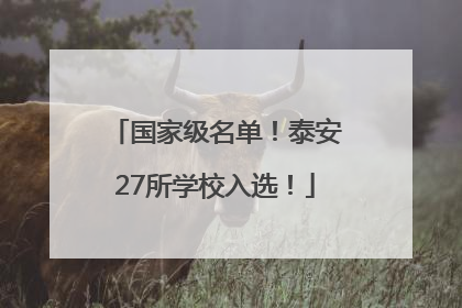 国家级名单！泰安27所学校入选！