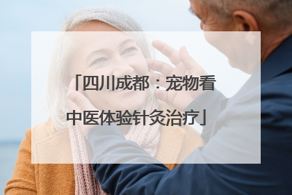 四川成都：宠物看中医体验针灸治疗