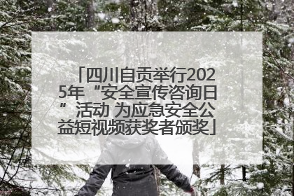 四川自贡举行2025年“安全宣传咨询日”活动 为应急安全公益短视频获奖者颁奖