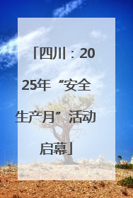 四川：2025年“安全生产月”活动启幕