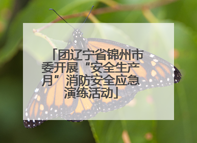 团辽宁省锦州市委开展“安全生产月”消防安全应急演练活动