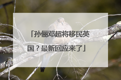 孙俪邓超将移民英国？最新回应来了