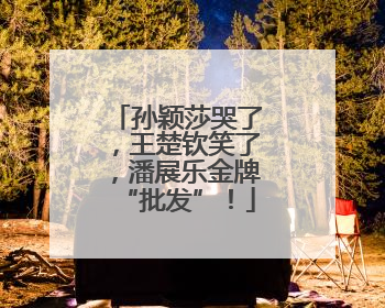 孙颖莎哭了，王楚钦笑了，潘展乐金牌“批发”！
