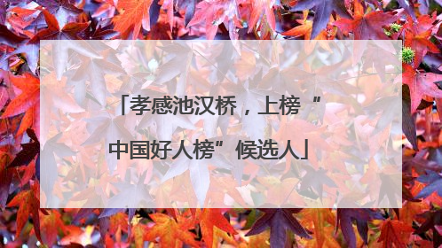 孝感池汉桥，上榜“中国好人榜”候选人