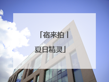 宿来拍丨夏日精灵