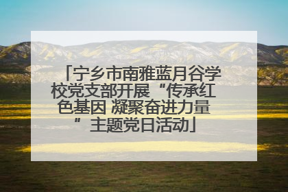 宁乡市南雅蓝月谷学校党支部开展“传承红色基因 凝聚奋进力量”主题党日活动