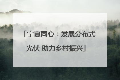 宁夏同心：发展分布式光伏 助力乡村振兴