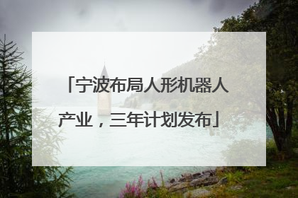 宁波布局人形机器人产业，三年计划发布
