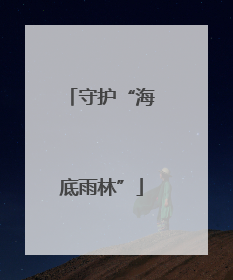 守护“海底雨林”