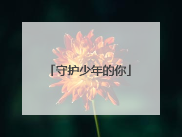 守护少年的你