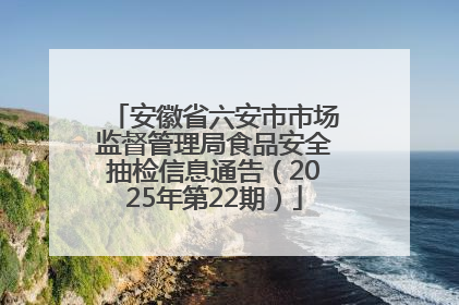 安徽省六安市市场监督管理局食品安全抽检信息通告（2025年第22期）