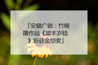 安徽广德：竹根雕作品《梁丰岁稔》斩获金鼎奖