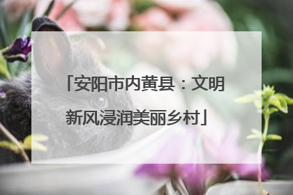 安阳市内黄县：文明新风浸润美丽乡村