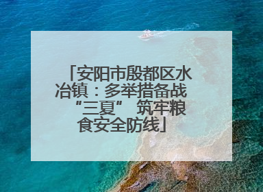 安阳市殷都区水冶镇：多举措备战“三夏” 筑牢粮食安全防线
