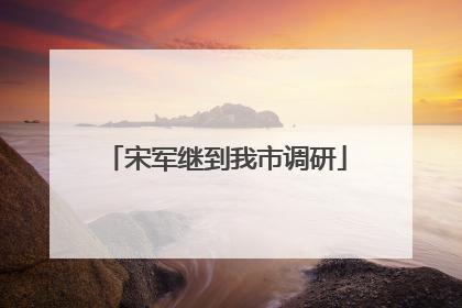 宋军继到我市调研