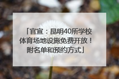 官宣：昆明40所学校体育场地设施免费开放！附名单和预约方式