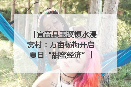 宜章县玉溪镇水浸窝村：万亩杨梅开启夏日“甜蜜经济”