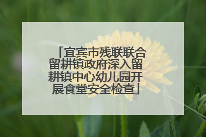 宜宾市残联联合留耕镇政府深入留耕镇中心幼儿园开展食堂安全检查