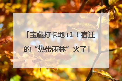 宝藏打卡地+1！宿迁的“热带雨林”火了