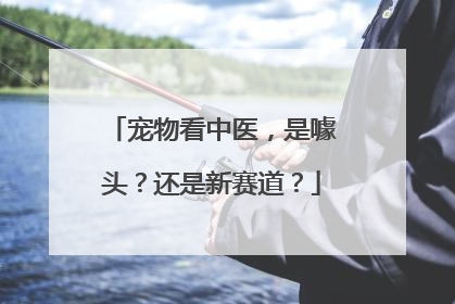 宠物看中医，是噱头？还是新赛道？