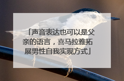 声音表达也可以是父亲的语言，喜马拉雅拓展男性自我实现方式