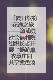 夏日缤纷·花漾之旅——溆浦县社会福利院组织长者开展“畅游薰衣草庄园 共享紫色浪漫”户外活动