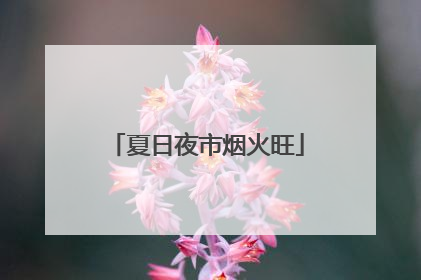 夏日夜市烟火旺