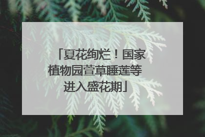 夏花绚烂！国家植物园萱草睡莲等进入盛花期