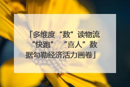 多维度“数”读物流“快跑” “喜人”数据勾勒经济活力画卷