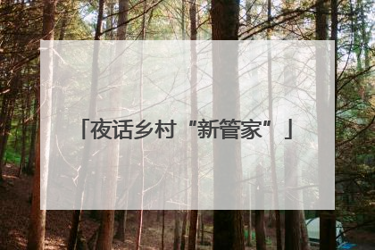 夜话乡村“新管家”