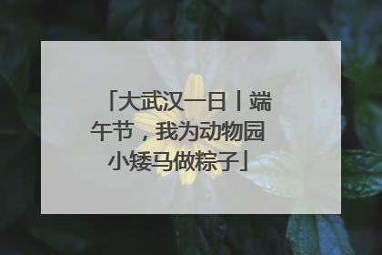 大武汉一日丨端午节，我为动物园小矮马做粽子