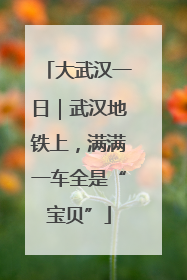 大武汉一日｜武汉地铁上，满满一车全是“宝贝”