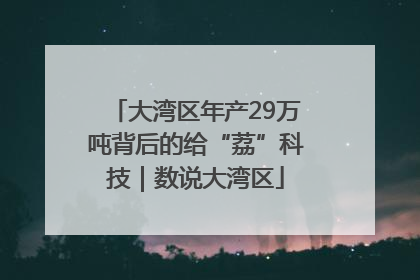 大湾区年产29万吨背后的给“荔”科技｜数说大湾区