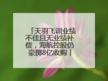 天羽飞训业绩不佳且无业绩补偿，海航控股仍豪掷8亿收购丨一周市场观察
