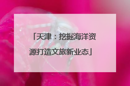 天津：挖掘海洋资源打造文旅新业态