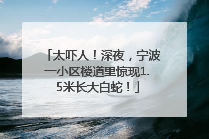 太吓人！深夜，宁波一小区楼道里惊现1.5米长大白蛇！