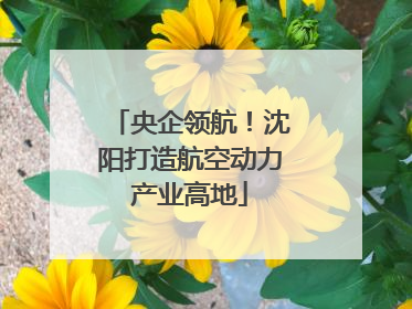 央企领航！沈阳打造航空动力产业高地