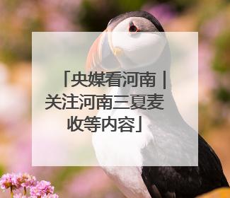 央媒看河南｜关注河南三夏麦收等内容