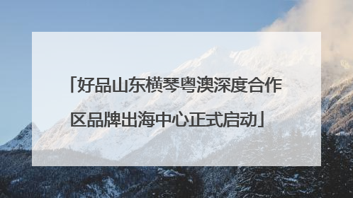 好品山东横琴粤澳深度合作区品牌出海中心正式启动