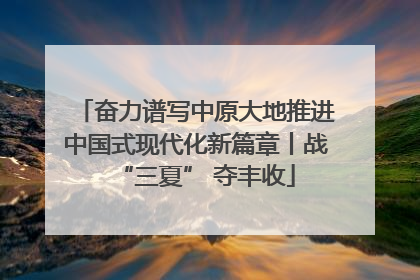 奋力谱写中原大地推进中国式现代化新篇章丨战“三夏” 夺丰收