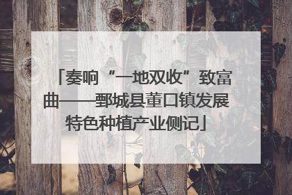 奏响“一地双收”致富曲——鄄城县董口镇发展特色种植产业侧记
