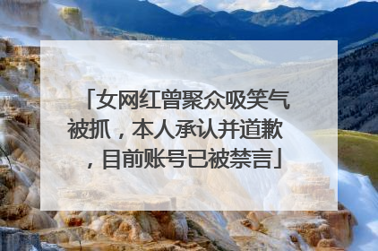 女网红曾聚众吸笑气被抓，本人承认并道歉，目前账号已被禁言