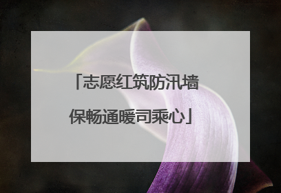 志愿红筑防汛墙 保畅通暖司乘心