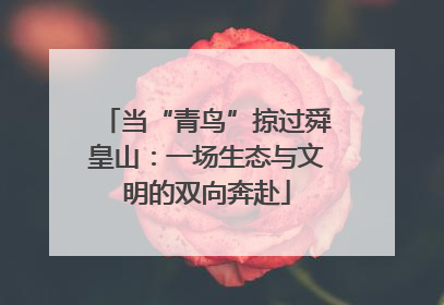 当“青鸟”掠过舜皇山：一场生态与文明的双向奔赴