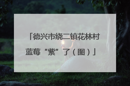 德兴市绕二镇花林村蓝莓“紫”了（图）