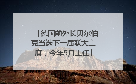 德国前外长贝尔伯克当选下一届联大主席，今年9月上任