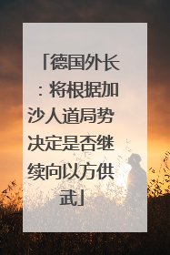 德国外长：将根据加沙人道局势决定是否继续向以方供武